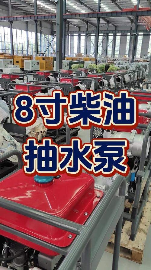 电插在电动车上面的抽水泵多少钱一个 电插在电动车上面的抽水泵多少钱一个