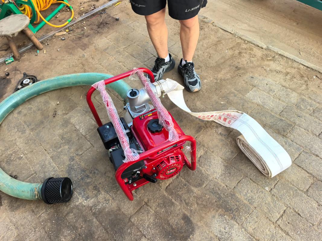 电插在电动车上面的抽水泵多少钱一个 电插在电动车上面的抽水泵多少钱一个